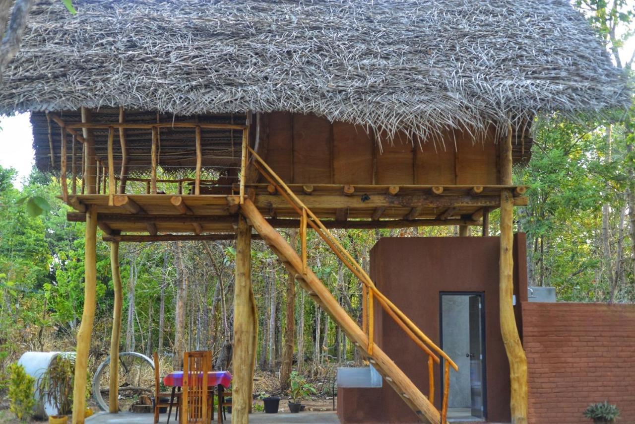 Pidurangala View Treehouse Apartment Sigiriya Ngoại thất bức ảnh