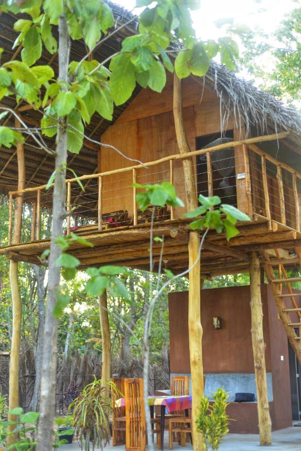 Pidurangala View Treehouse Apartment Sigiriya Ngoại thất bức ảnh