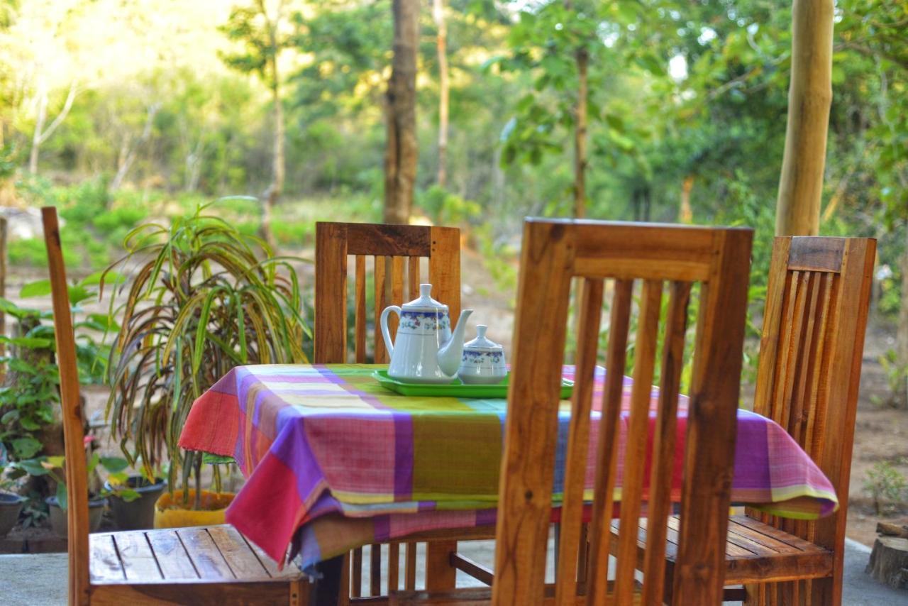 Pidurangala View Treehouse Apartment Sigiriya Ngoại thất bức ảnh