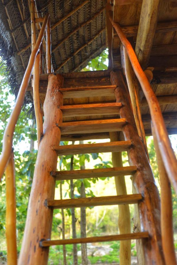 Pidurangala View Treehouse Apartment Sigiriya Ngoại thất bức ảnh
