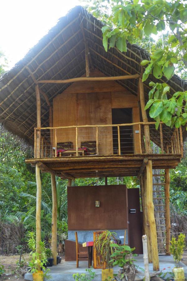 Pidurangala View Treehouse Apartment Sigiriya Ngoại thất bức ảnh
