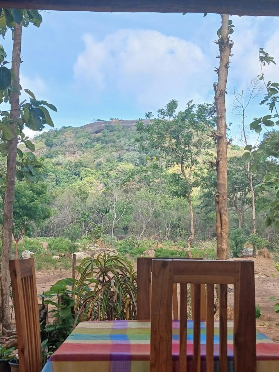 Pidurangala View Treehouse Apartment Sigiriya Ngoại thất bức ảnh