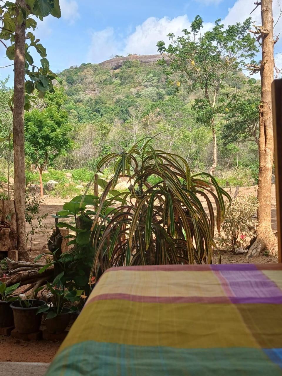 Pidurangala View Treehouse Apartment Sigiriya Ngoại thất bức ảnh