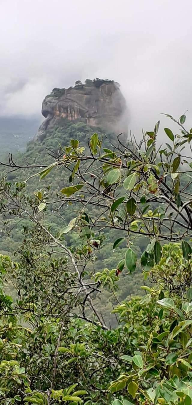 Pidurangala View Treehouse Apartment Sigiriya Ngoại thất bức ảnh