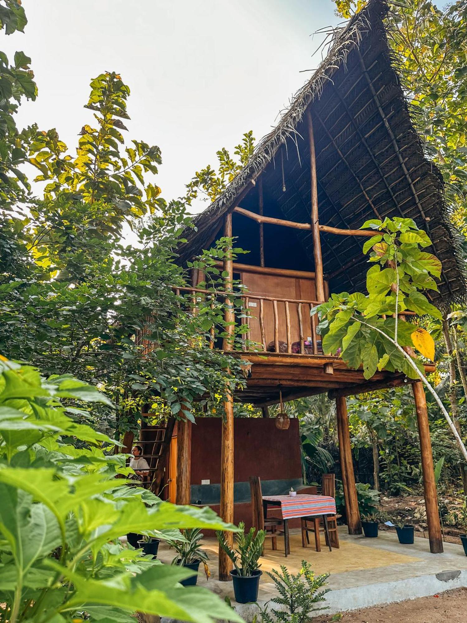Pidurangala View Treehouse Apartment Sigiriya Ngoại thất bức ảnh