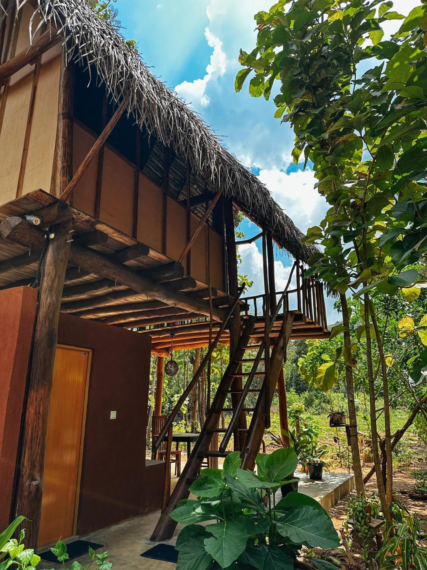 Pidurangala View Treehouse Apartment Sigiriya Ngoại thất bức ảnh