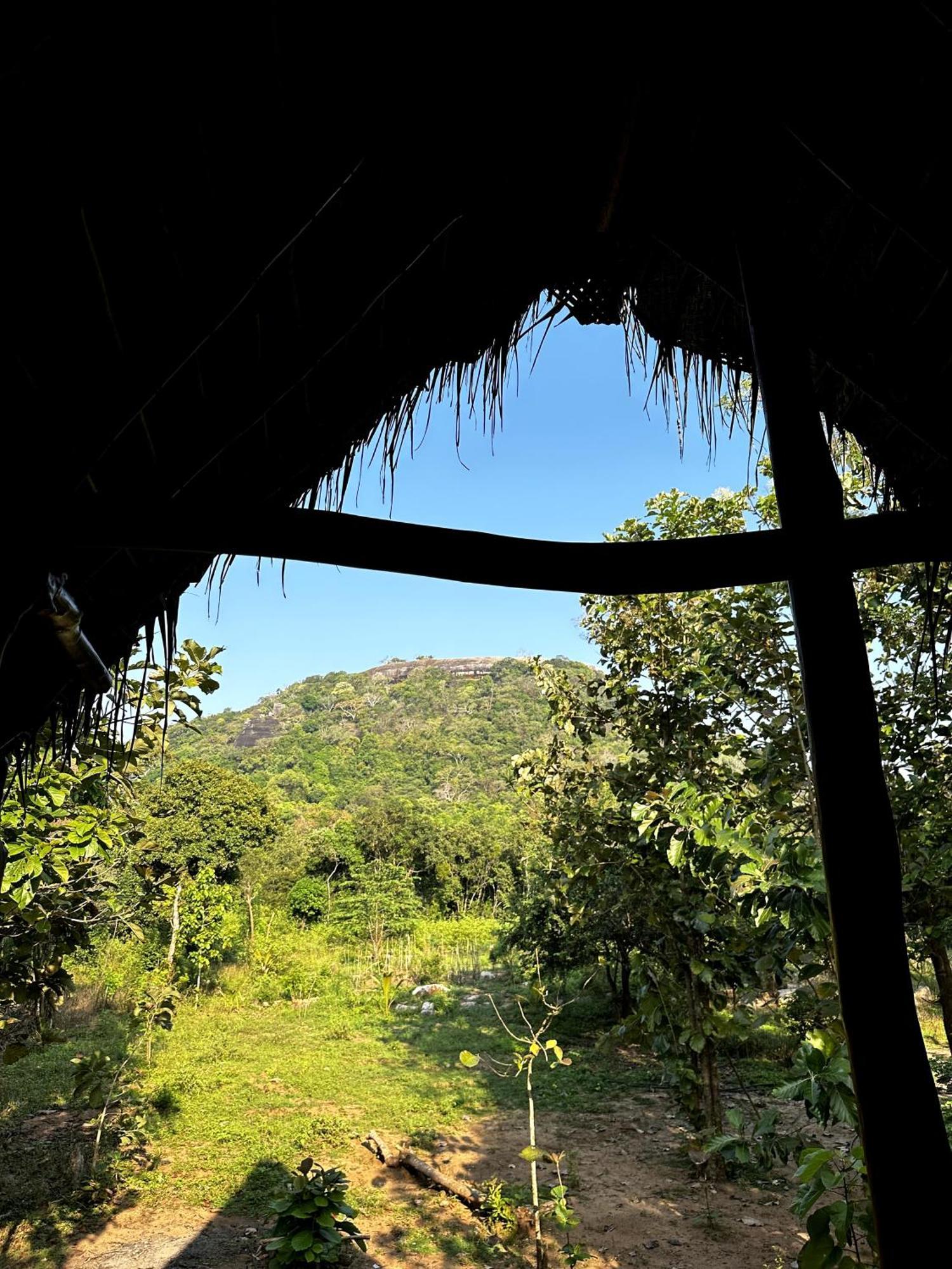 Pidurangala View Treehouse Apartment Sigiriya Ngoại thất bức ảnh