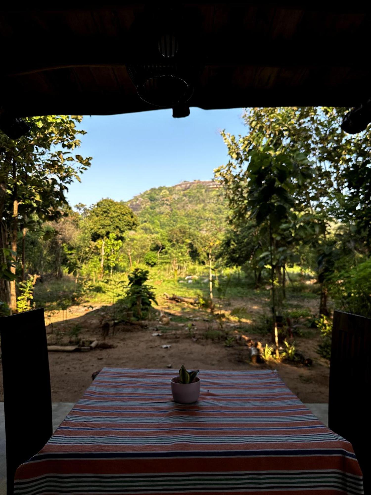 Pidurangala View Treehouse Apartment Sigiriya Ngoại thất bức ảnh