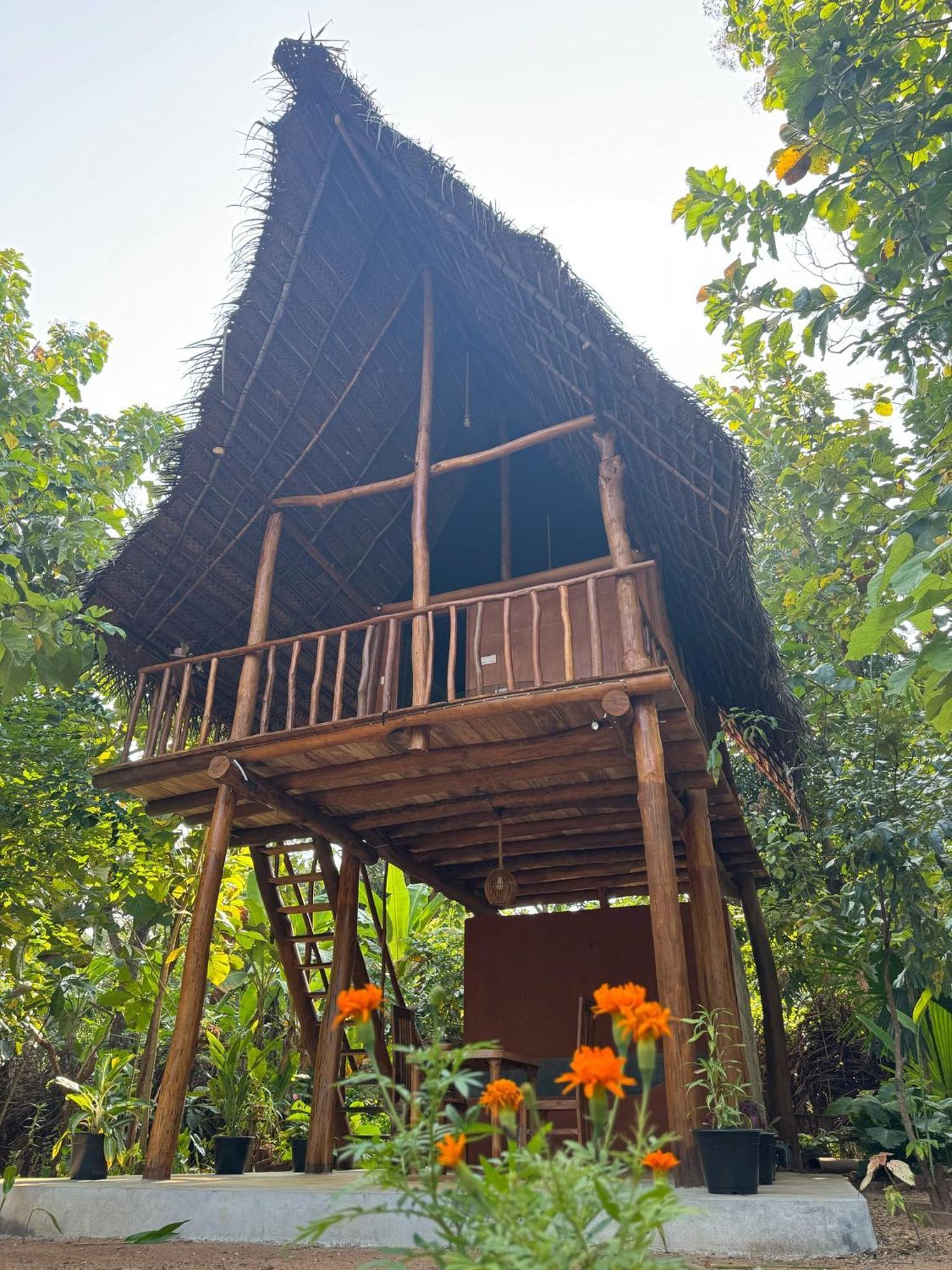 Pidurangala View Treehouse Apartment Sigiriya Ngoại thất bức ảnh