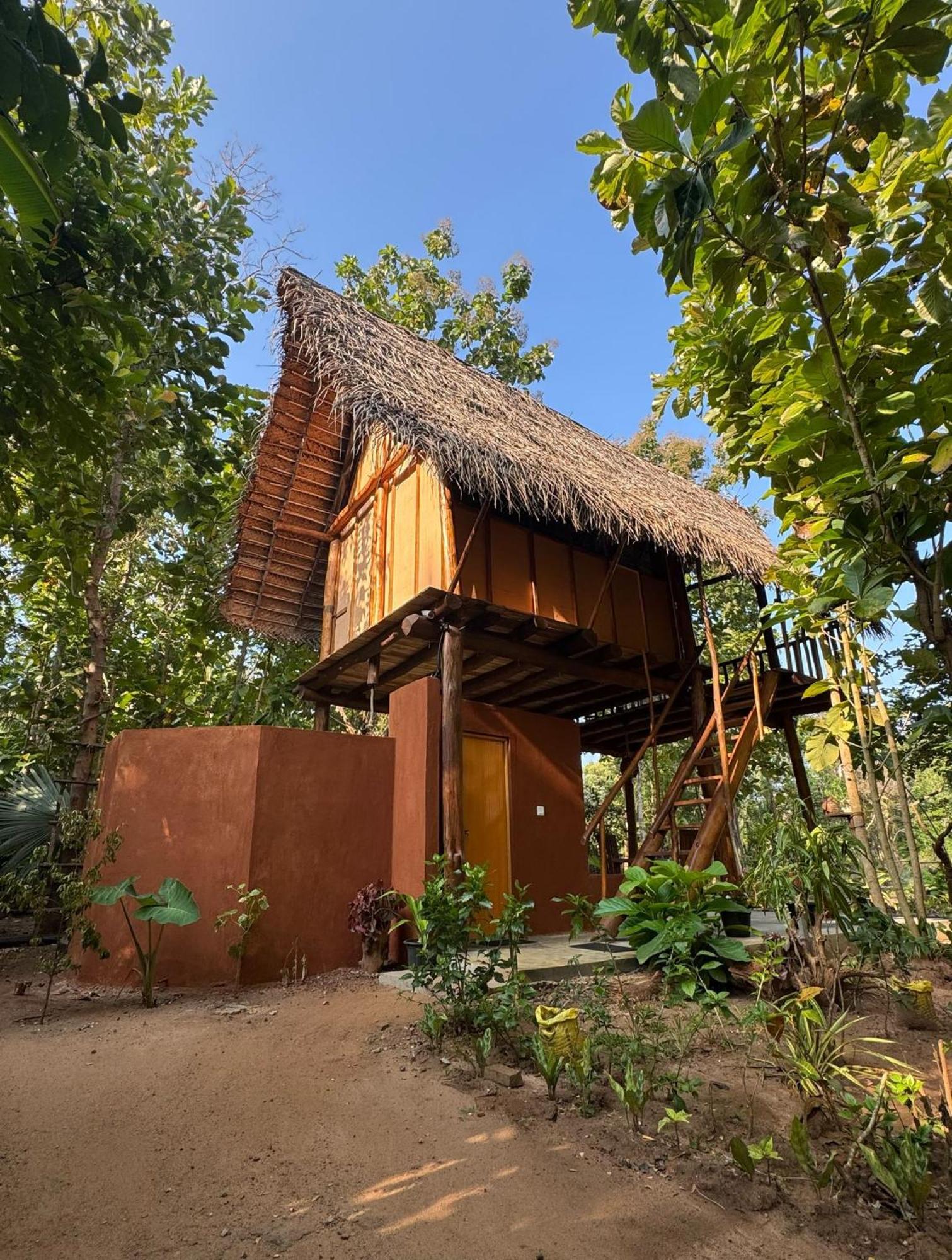 Pidurangala View Treehouse Apartment Sigiriya Ngoại thất bức ảnh
