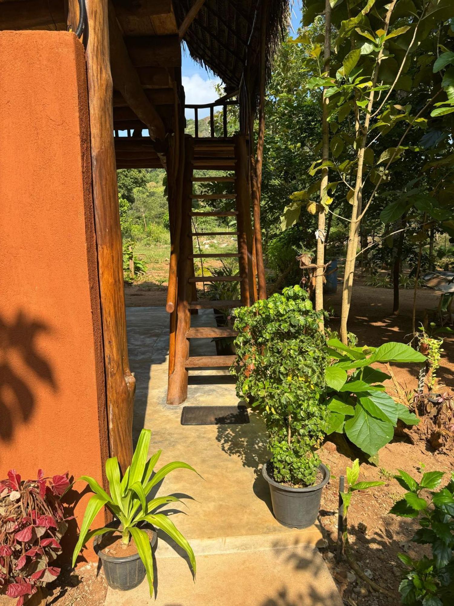 Pidurangala View Treehouse Apartment Sigiriya Ngoại thất bức ảnh